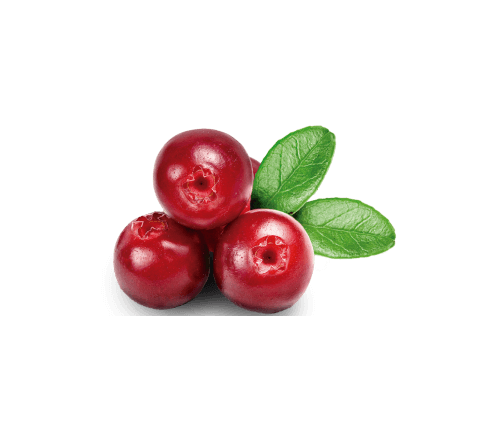 product_15 3
