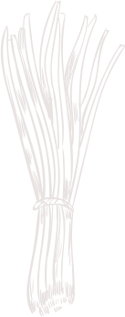 shape 8 4